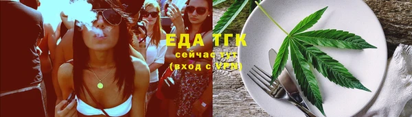дмт Инта