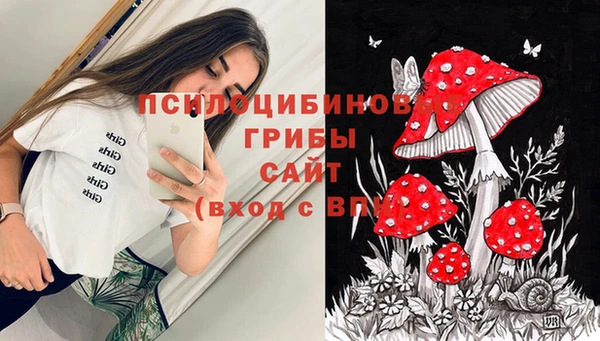 дмт Инта