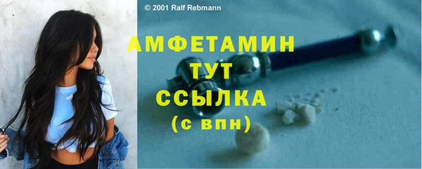 крисы Каменногорск