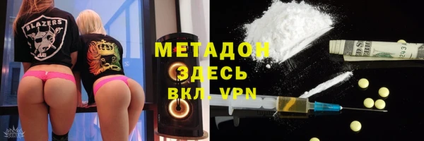 прущие грибы Елизово