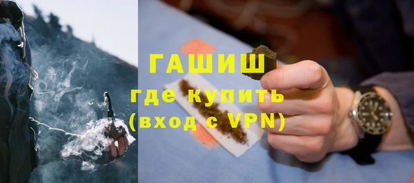 ПСИЛОЦИБИНОВЫЕ ГРИБЫ Инсар
