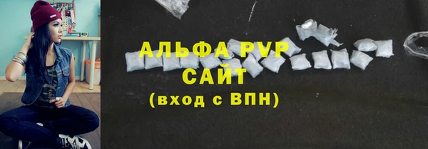 прущие грибы Елизово