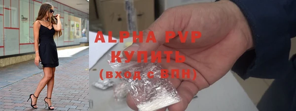 прущие грибы Елизово
