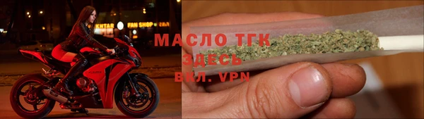 дмт Инта
