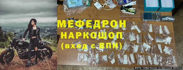 дмт Инта