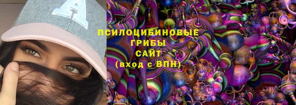 ПСИЛОЦИБИНОВЫЕ ГРИБЫ Инсар