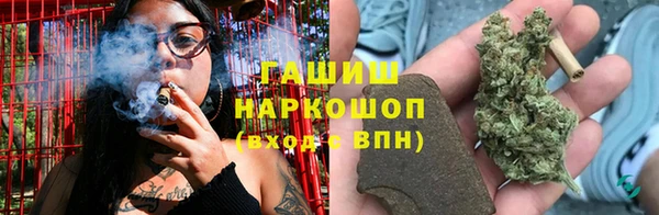 ПСИЛОЦИБИНОВЫЕ ГРИБЫ Инсар
