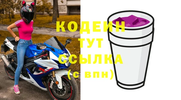 прущие грибы Дмитров