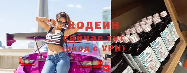 дмт Инта